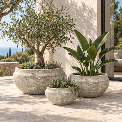 49710362