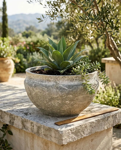 Vaso Tondo Basso da esterno e interno 51.5 x 33 h cm in cemento Grigio - Petra
